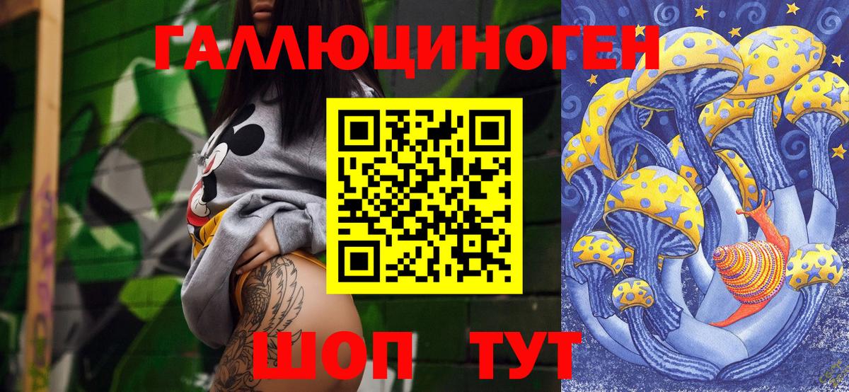 Междуреченск  Псилоцибиновые грибы Psilocybine cubensis  Вход с VPN 